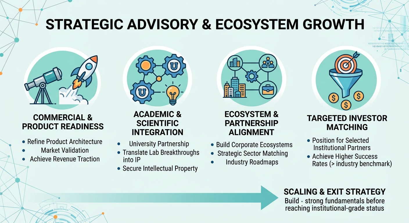 Strategic Advisory Beyond Traditional Venture Capital for Scale-Ups and Research Spin-Outs Azerbaijan